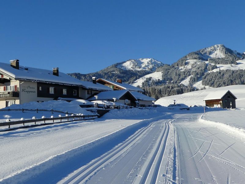 Winter rund ums Landhaus Ruppaner