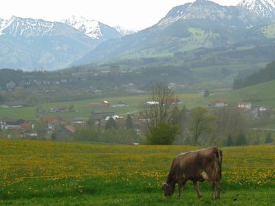 Ausblick vom Garten