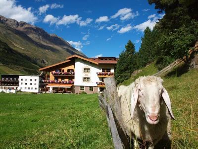 Hausansicht Südseitig mit Schaf