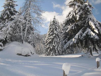 Winterlandschaft