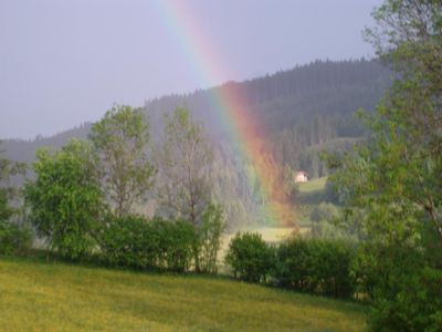 Sommerliches Farbenspiel