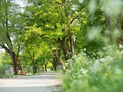 Im Grünen und doch in der Stadt