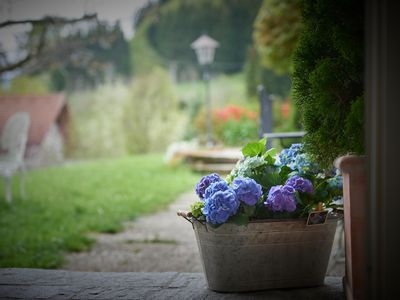 Ferienhaus Nest