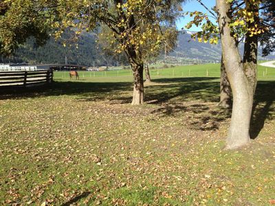 Unsere Pferde Ferienhof Stadlpoint Ried Zillertal 