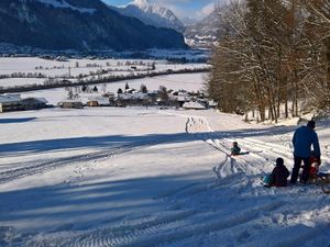 Zillertal_Bruck_holiday-home.tirol_Wiese_Rodeln_Wi