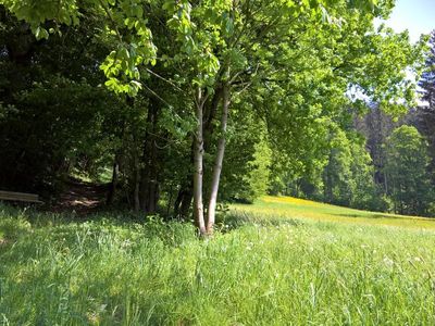 Zillertal_Bruck_holiday-home.tirol_Wanderweg-neben