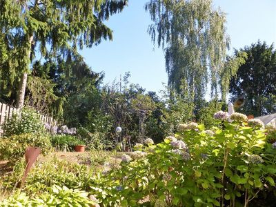 Blick in Garten