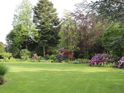 Blick in den Garten