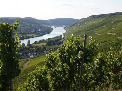 Blick auf die Weinberge