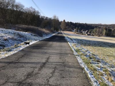 Umgebung 500m zum Wald