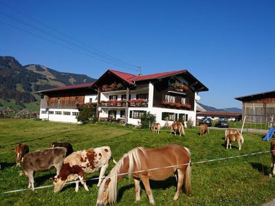 Urlaub auf dem Haflinger Hof Obermaiselstein