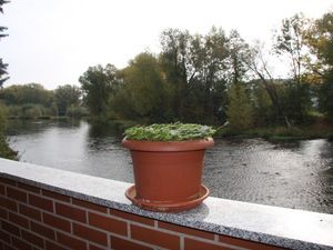 Blick von der Terrasse auf die Bode