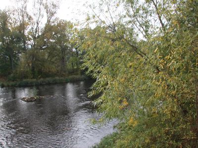 Blick auf die Bode