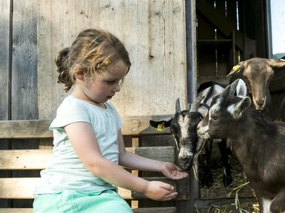 Bauernhof Großwolfing Ebbs - Kind mit Ziegen