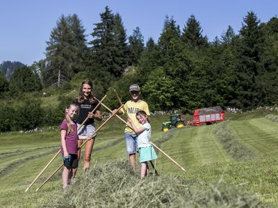 Bauernhof Großwolfing Ebbs - Feld