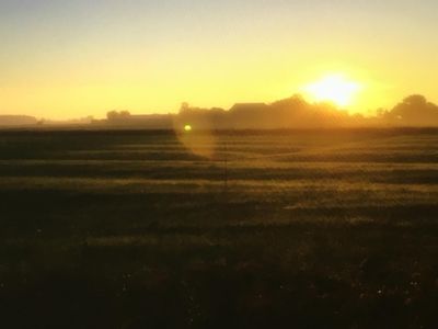 Sonnenuntergang von unserem Garten über dem Deich