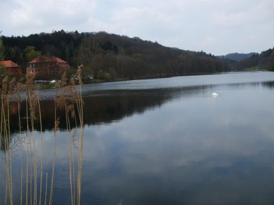 Bilder Niederwürzbach Weiher 1