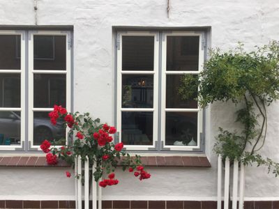 Hausfront mit Rosen