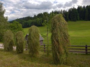 Moserhof - Hifler mit Stadl