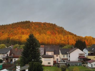 Ausblick vom Balkon