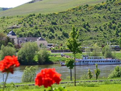 Ausblick zum Kloster Machern