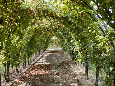 stefan_meyer_weingut_2016_byernst_69A4699