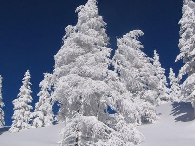 Haus Pircher - Winterstimmung