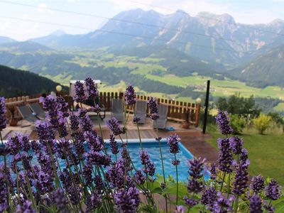 Haus Taxegger - Außenpool im Sommer