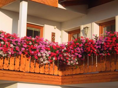 Blumen Balkon