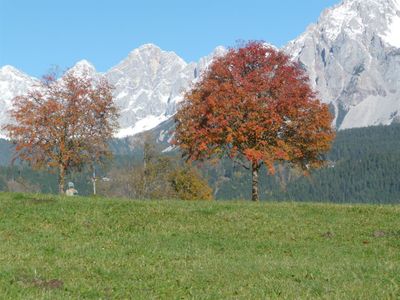 Der Blick zum Dachstein