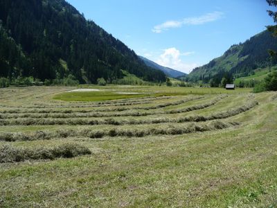 Heuernte im Untertal