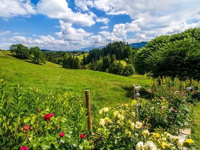 Traumhafter Blick in die Landschaft