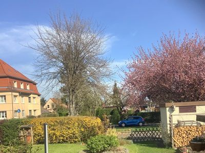 Blick aus der Ferienwohnung