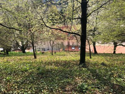 Blick aus dem Wald auf Trasse Belge