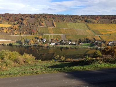 Blick ins herbstliche Moseltal