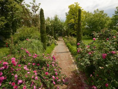 Rosen-Lavendelgarten_klein-_Kopie