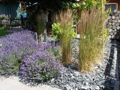 Sommer im Garten -  blühender Vorgarten