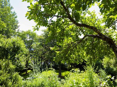 Gartenblick