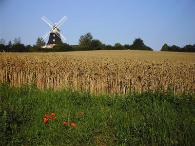 Mühle in Klütz