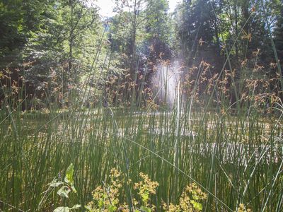 Teich im Schlosspark