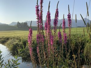 Sonnenaufgang in Tiefenberg