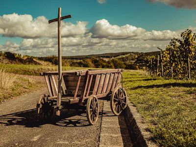 Mit dem Bollerwagen unterwegs