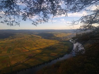 Goldener Herbst an der Mosel