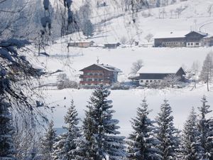 Natur pur im Winterurlaub