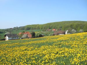 Öttersbach mit Giebelrainer Berg