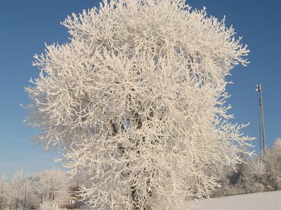 Ein Wintertraum