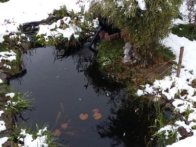 Gartenteich im Winter