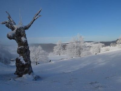 winterpanorama