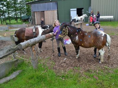 Reiten für Kinder