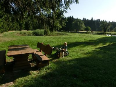 Blick zum Teich